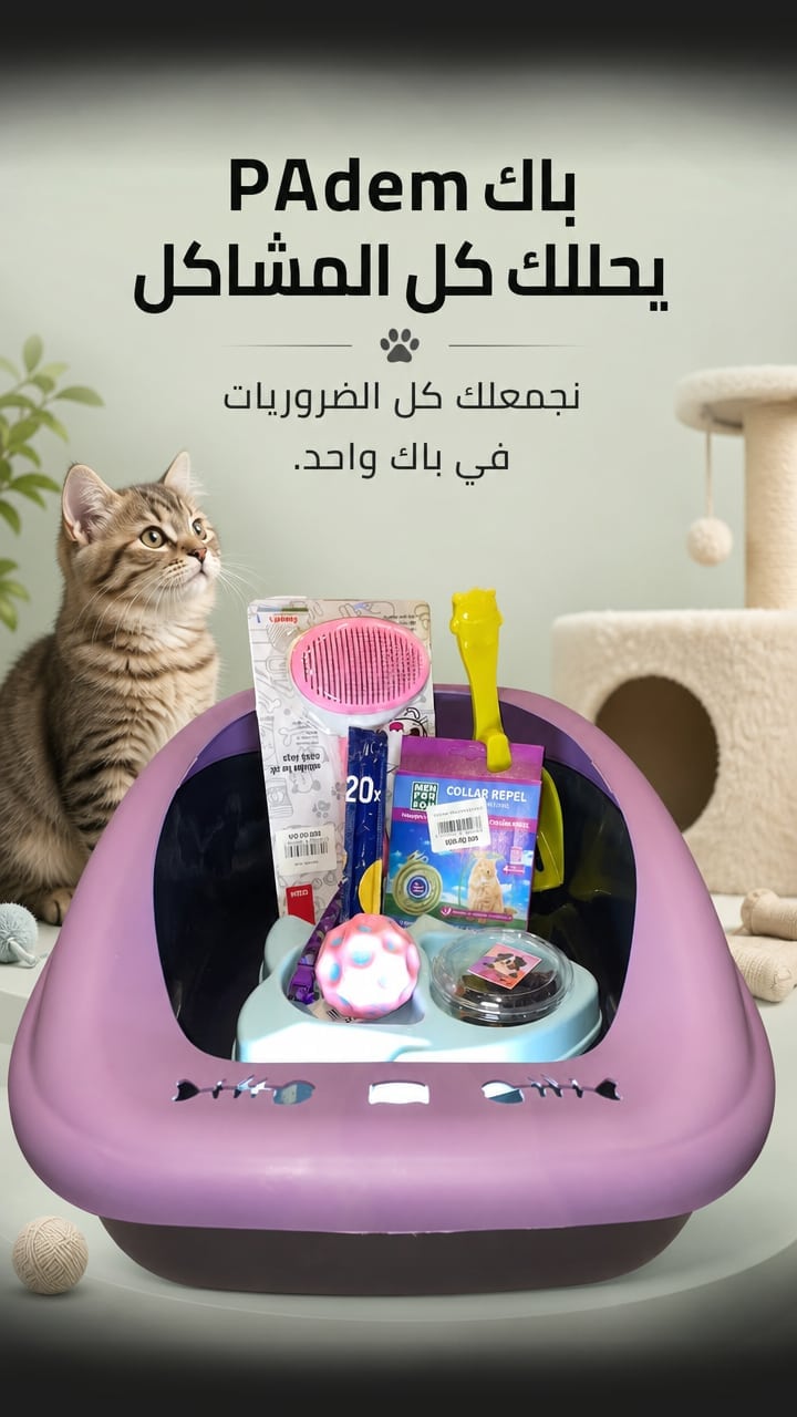 Solution — pack l'essentials pour chat